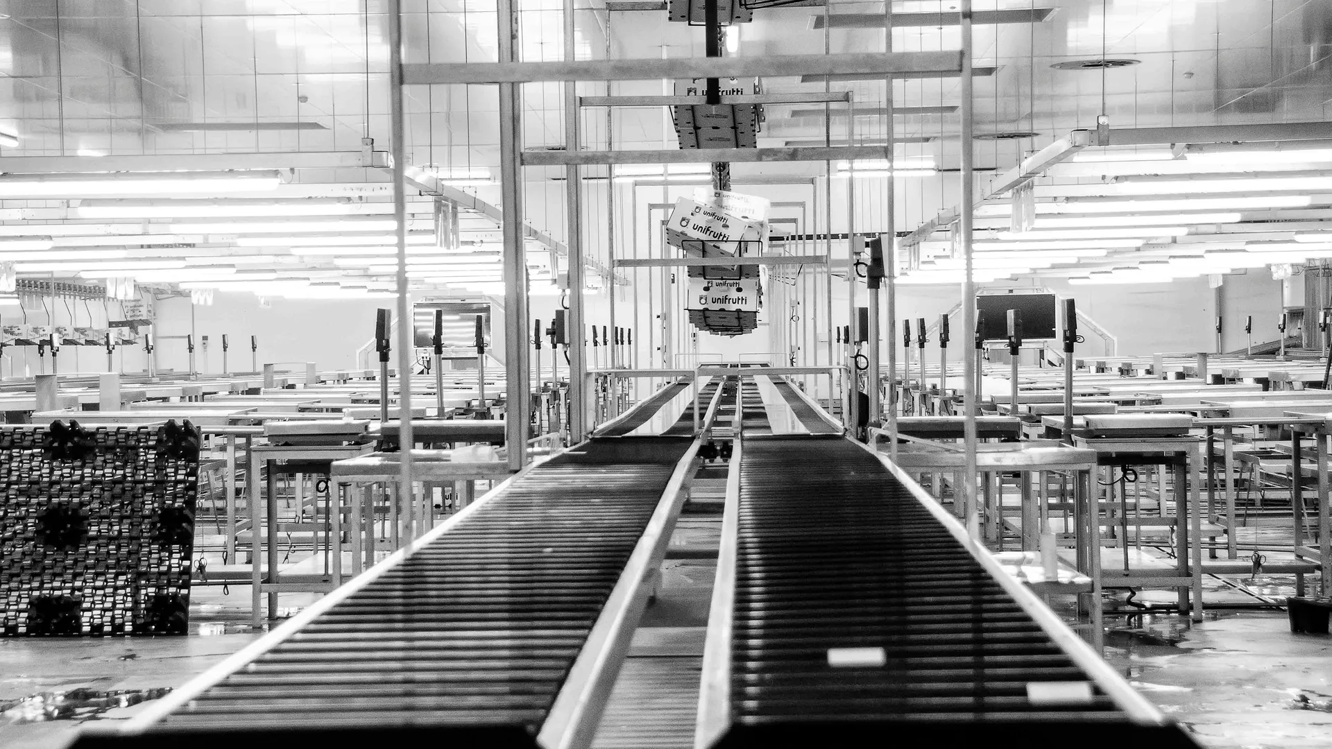 Surgical Precision. Industrial Speed.